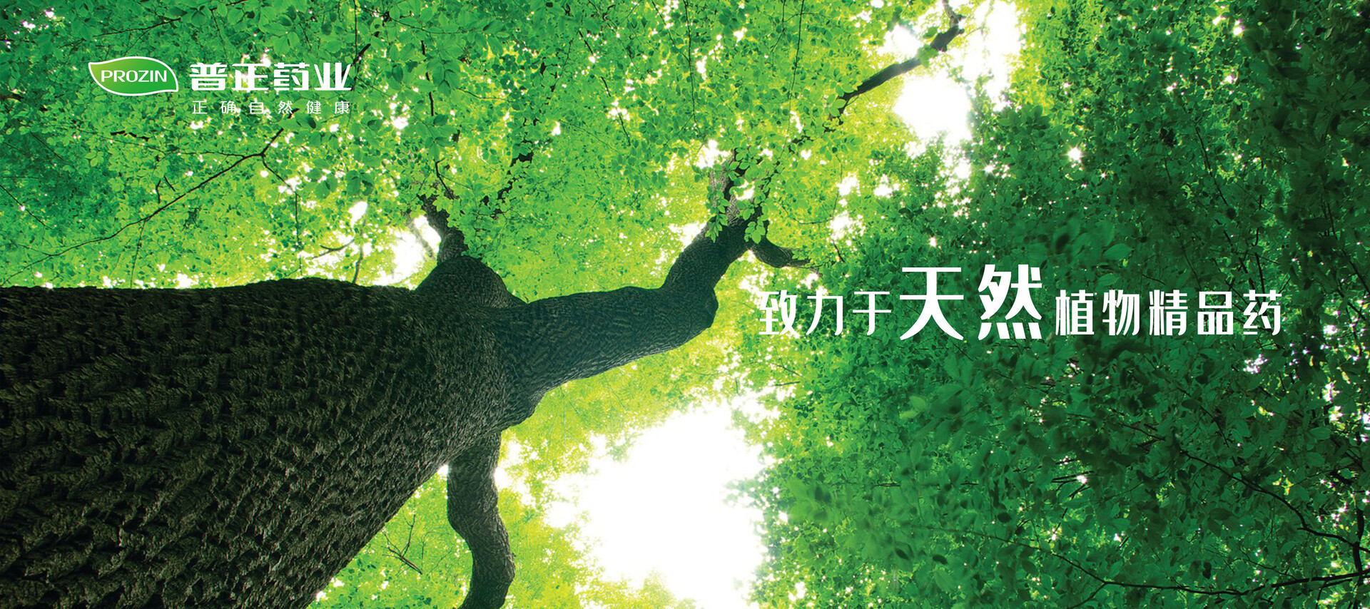 致力于天然植物精品藥